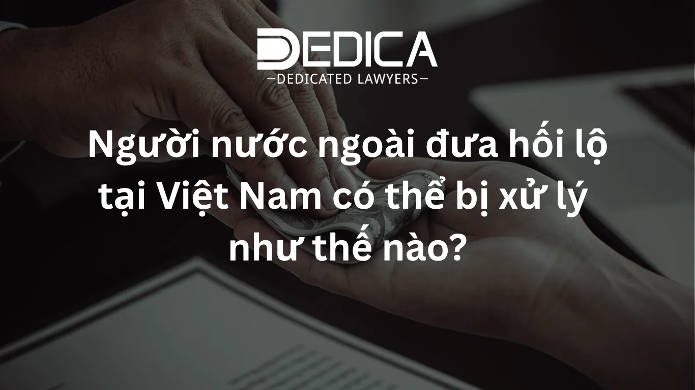 ảnh website dedica - 2026-03-23T112117.576.webp