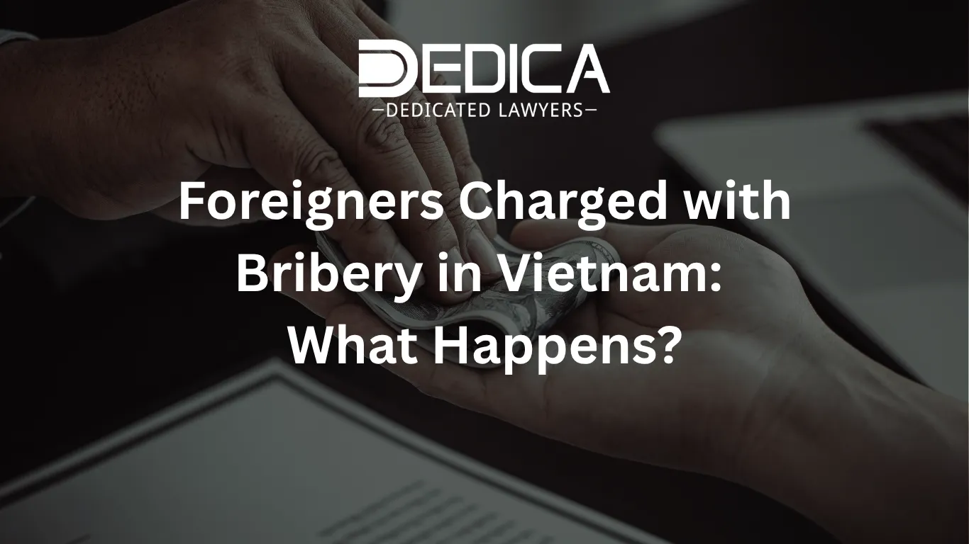 ảnh website dedica - 2026-03-23T113541.180.webp