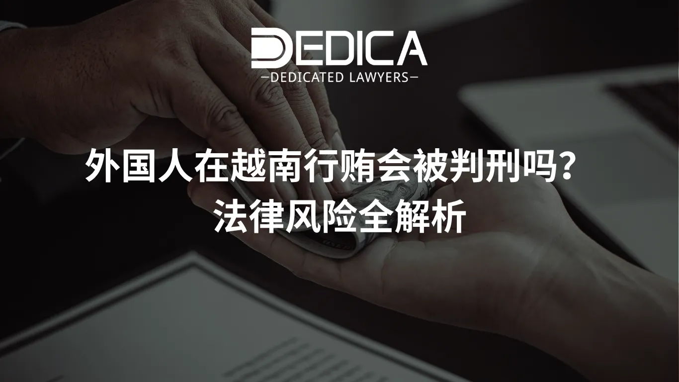 ảnh website dedica - 2026-03-23T133235.581.webp