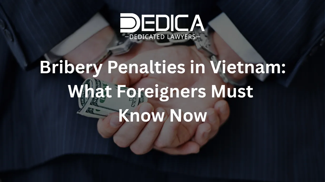 ảnh website dedica - 2026-03-23T165058.511.webp