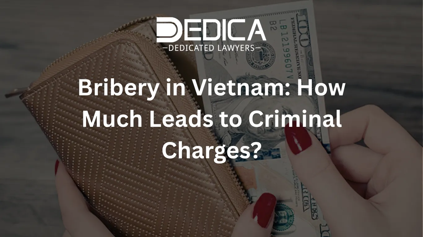 ảnh website dedica - 2026-03-24T144920.881.webp