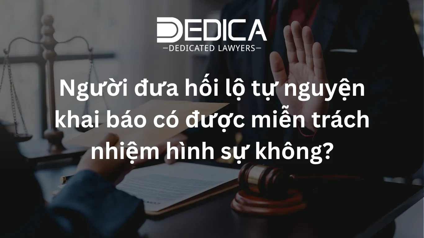 ảnh website dedica - 2026-03-24T162759.369.webp