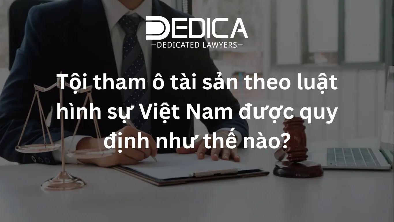 ảnh website dedica - 2026-03-27T145505.263.webp