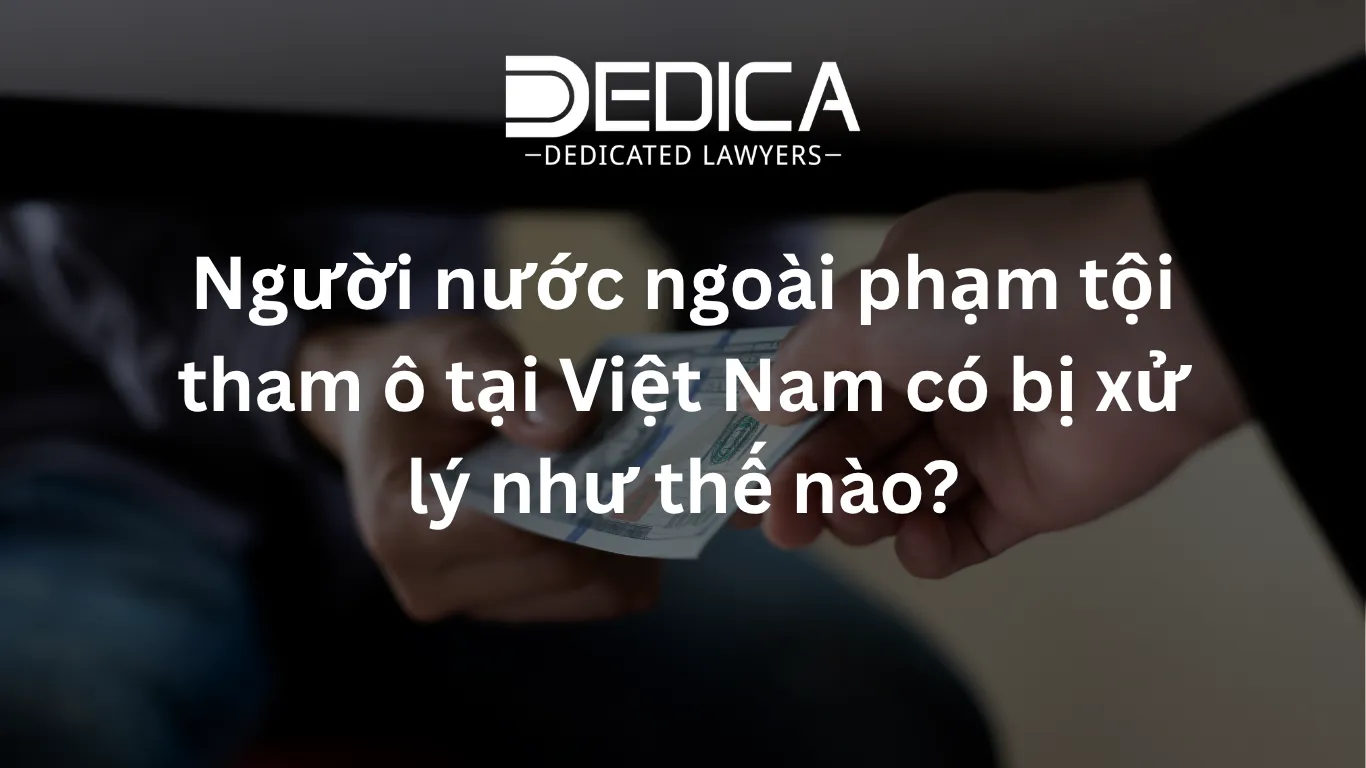 ảnh website dedica - 2026-03-31T142123.124.webp