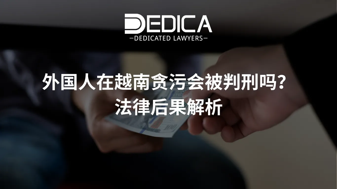 ảnh website dedica - 2026-03-31T152831.616.webp