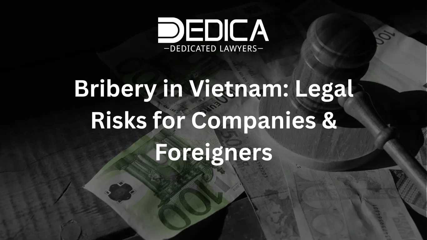 ảnh website dedica - 2026-03-31T164559.683.webp