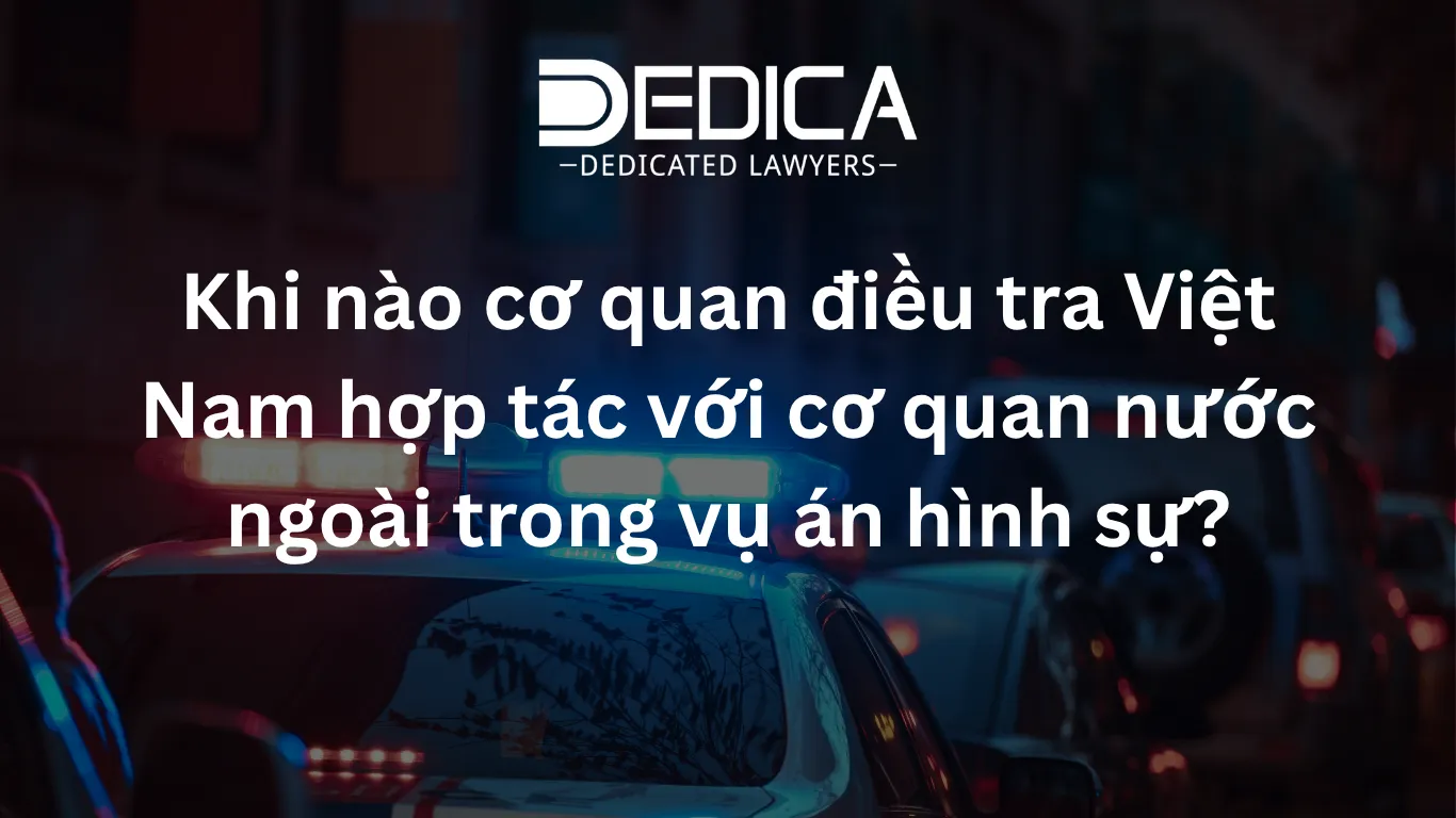 ảnh website dedica - 2026-04-01T110922.280.webp