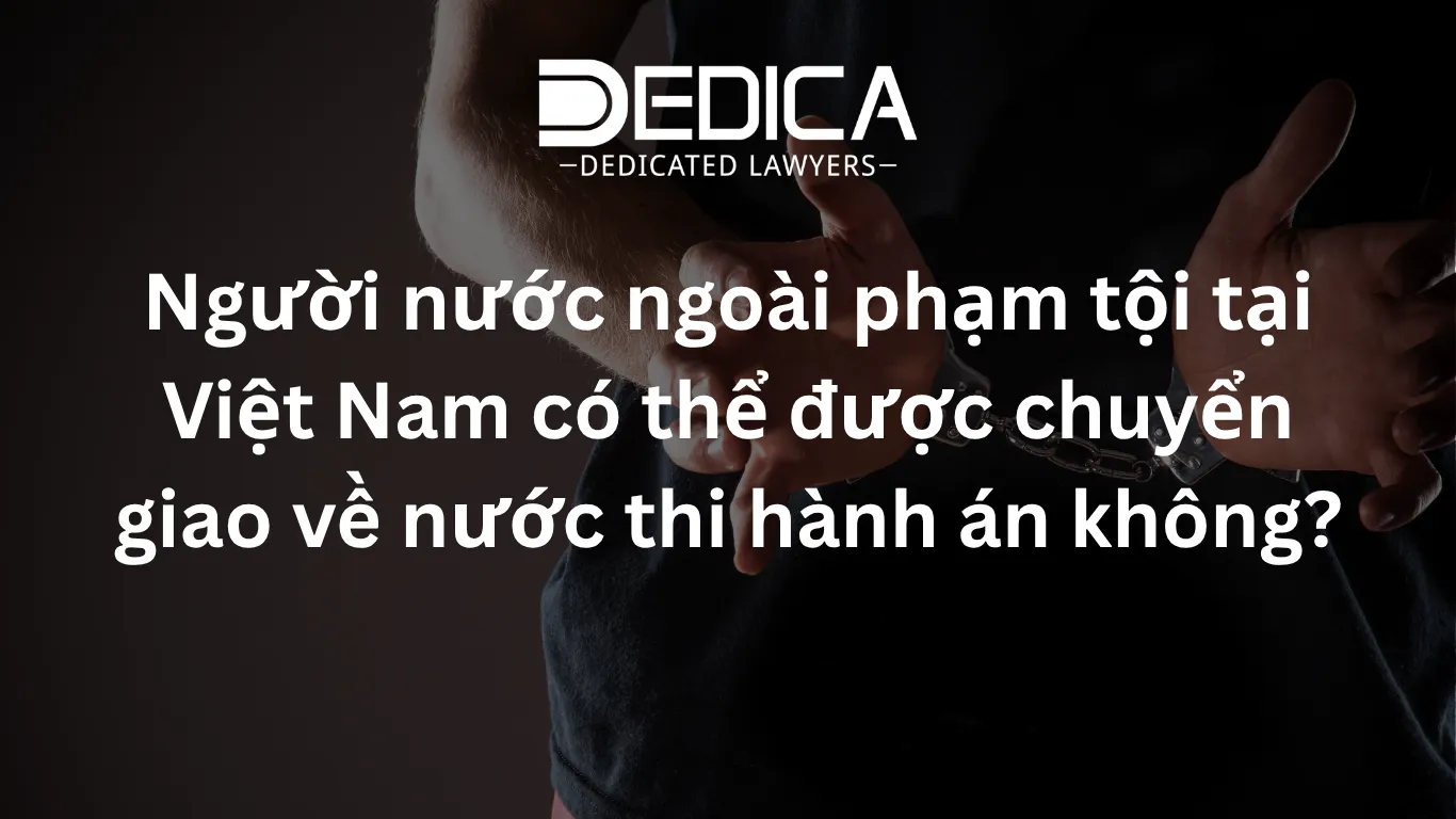 ảnh website dedica - 2026-04-01T120502.865.webp