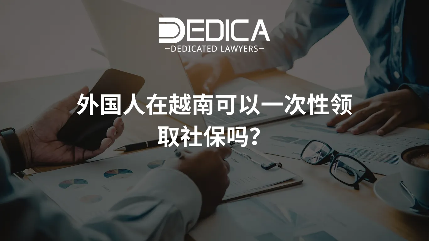 ảnh website dedica - 2026-04-02T111508.602.webp