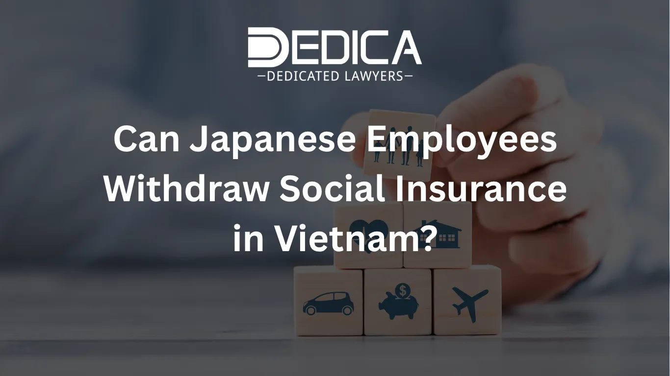 ảnh website dedica - 2026-04-02T114218.683.webp