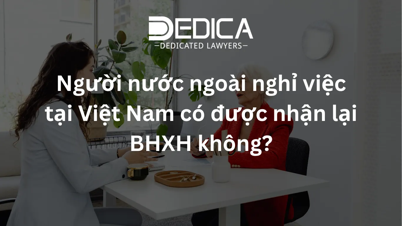 ảnh website dedica - 2026-04-02T115235.736.webp