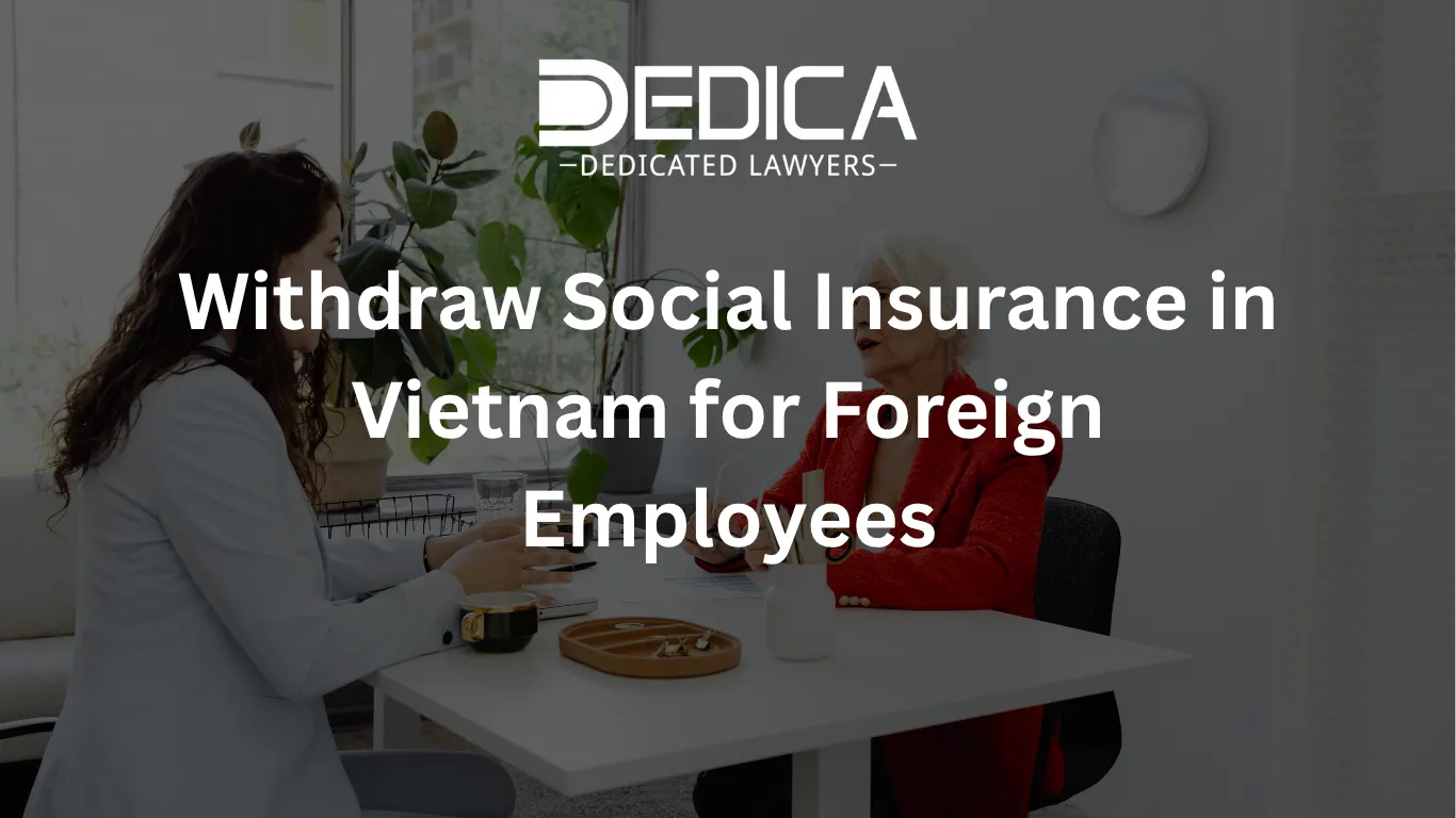 ảnh website dedica - 2026-04-02T120044.967.webp