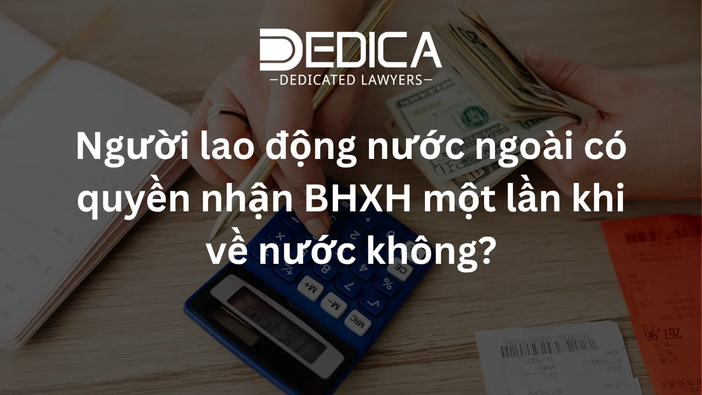 ảnh website dedica - 2026-04-02T142826.976.webp