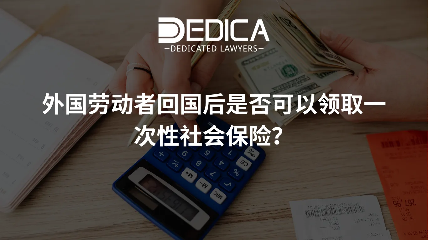 ảnh website dedica - 2026-04-02T151345.936.webp