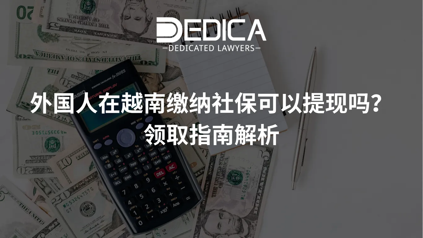 ảnh website dedica - 2026-04-02T165927.869.webp