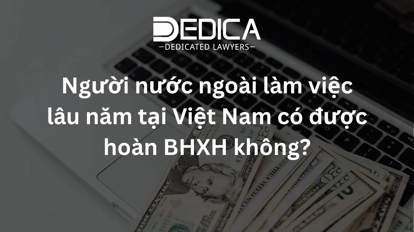 ảnh website dedica - 2026-04-03T101908.843.webp