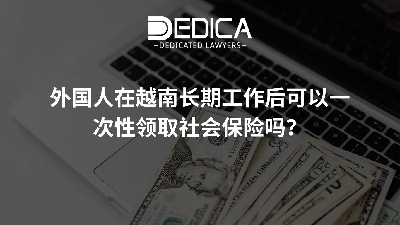 ảnh website dedica - 2026-04-03T110731.991.webp