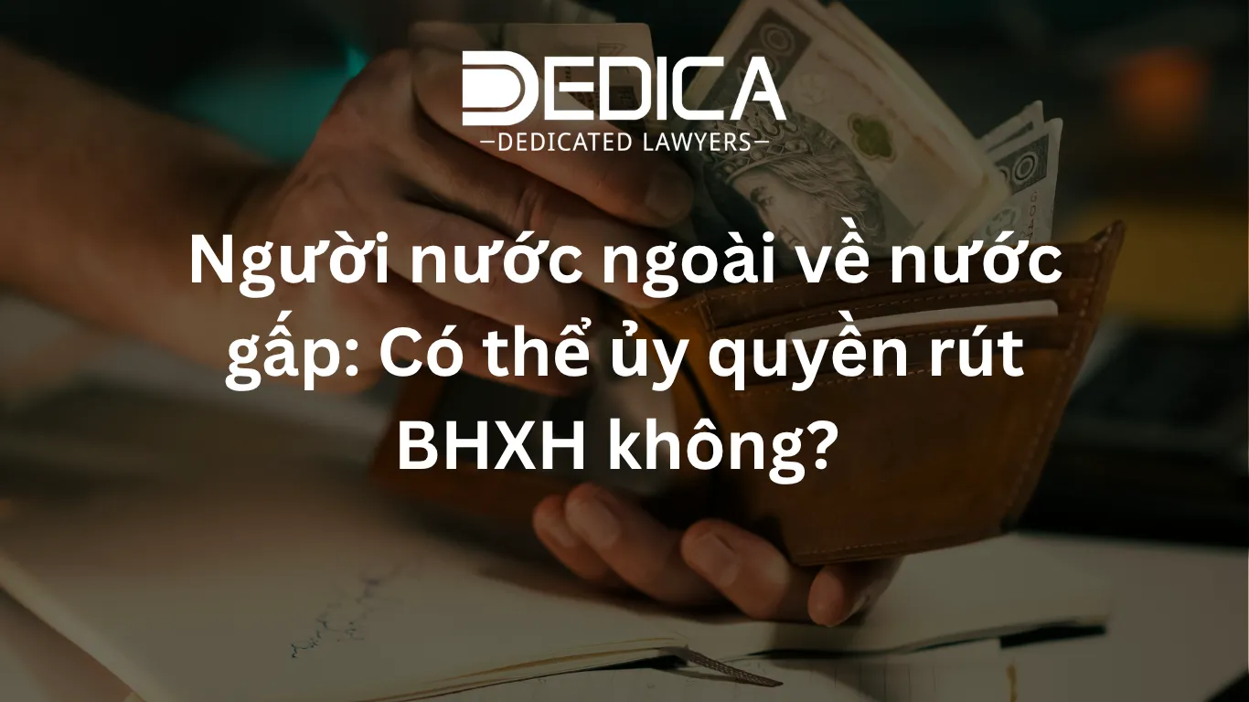 ảnh website dedica - 2026-04-03T112258.194.webp