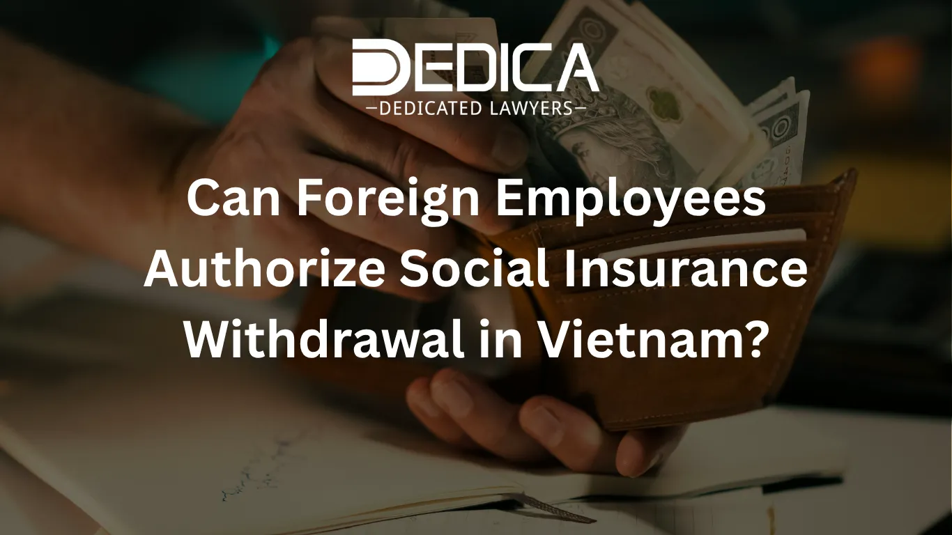 ảnh website dedica - 2026-04-03T113231.361.webp