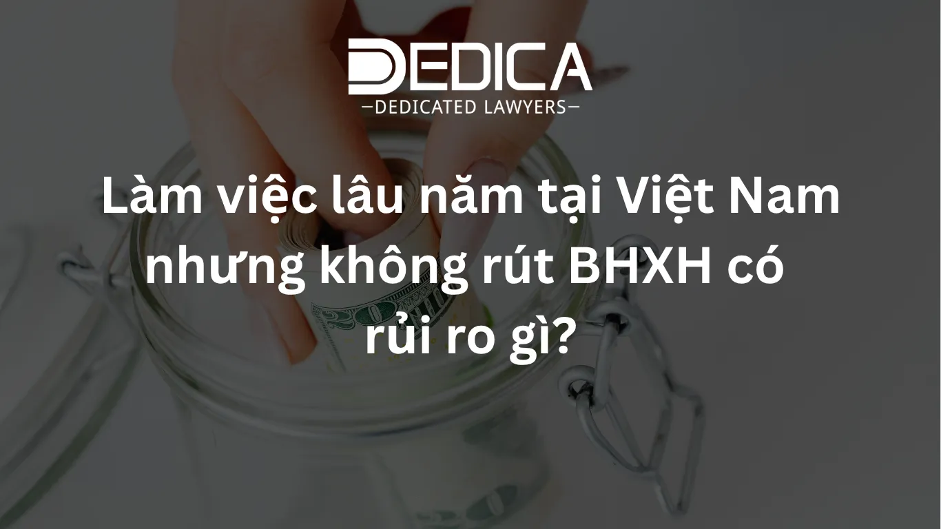 ảnh website dedica - 2026-04-03T162311.598.webp