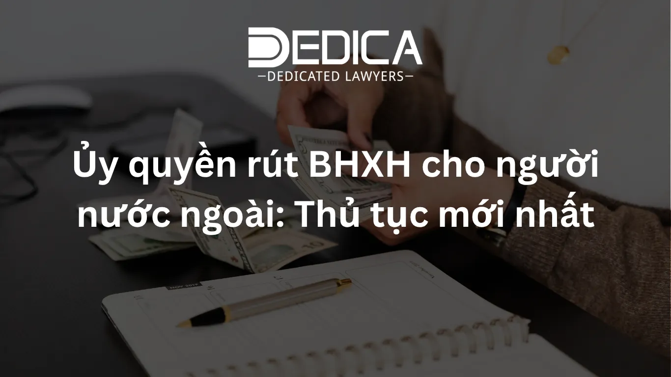 ảnh website dedica - 2026-04-06T104741.184.webp