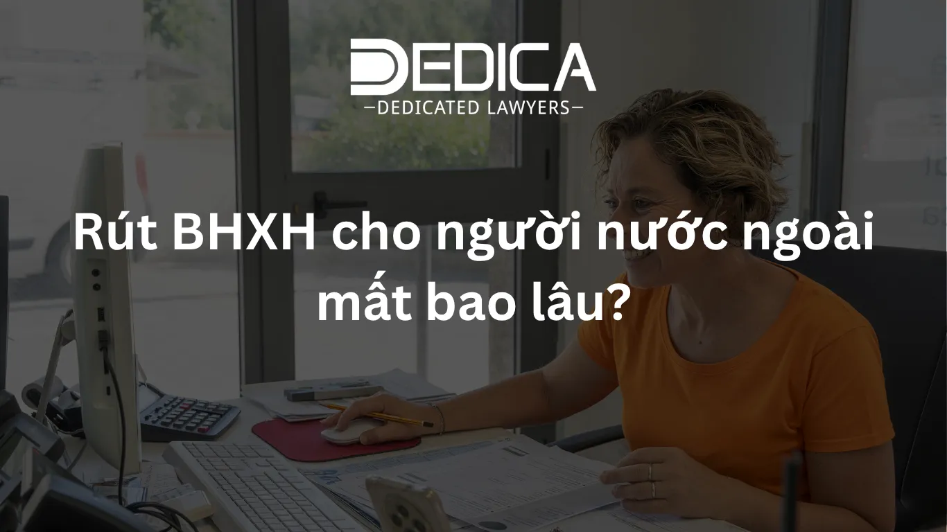 ảnh website dedica - 2026-04-06T114013.379.webp