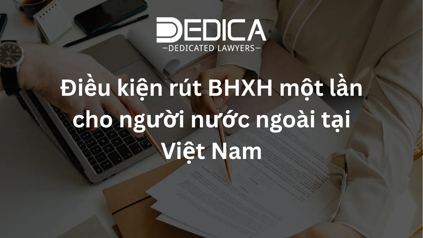 ảnh website dedica - 2026-04-06T143348.668.webp