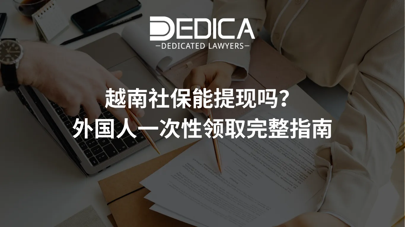 ảnh website dedica - 2026-04-06T153720.679.webp