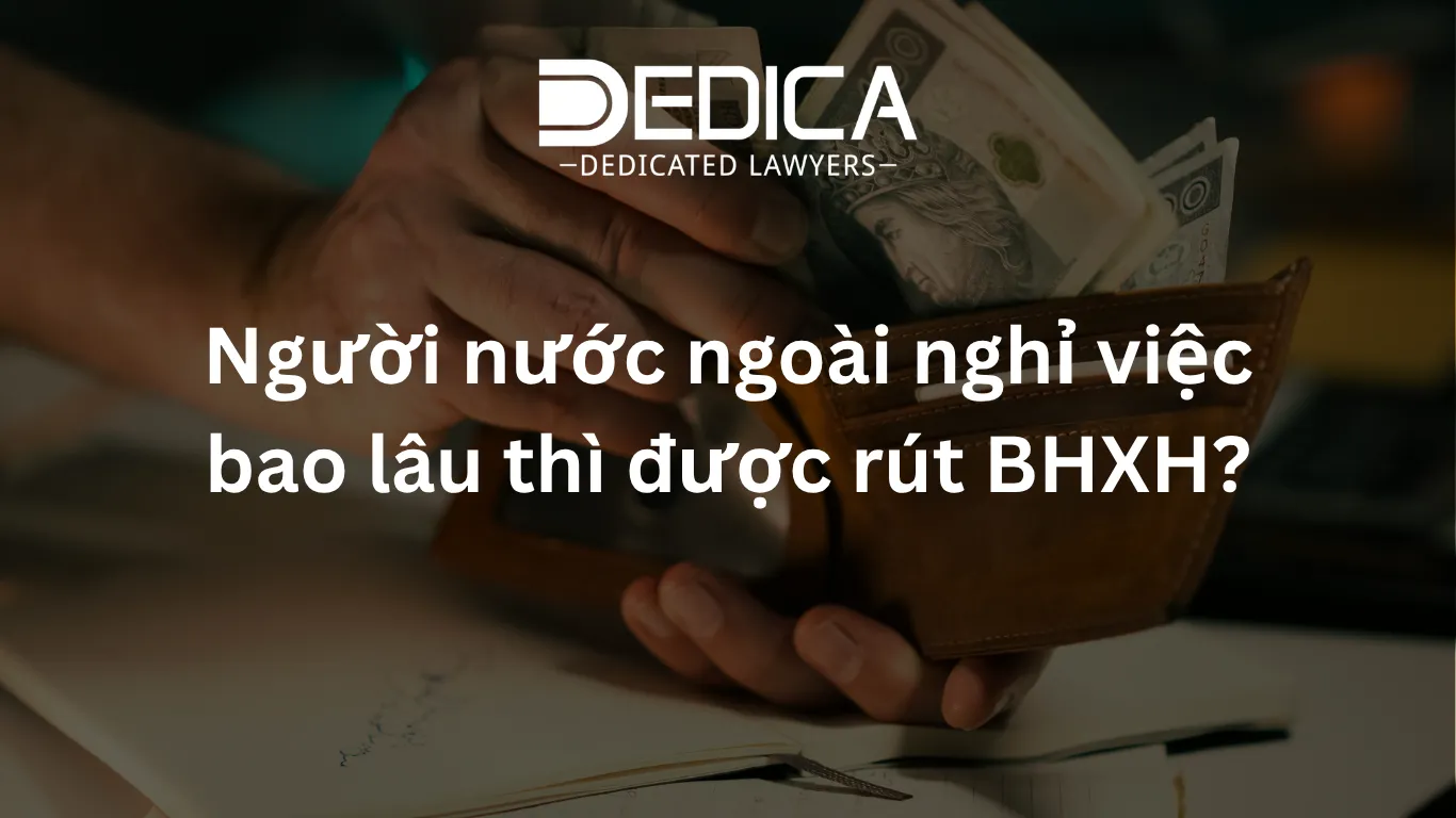 ảnh website dedica - 2026-04-07T095753.813.webp