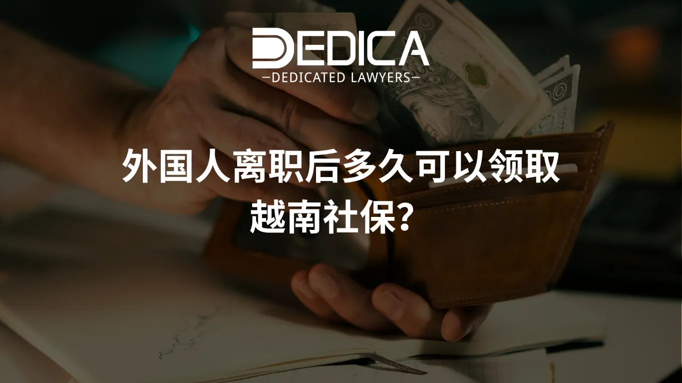 ảnh website dedica - 2026-04-07T103125.579.webp