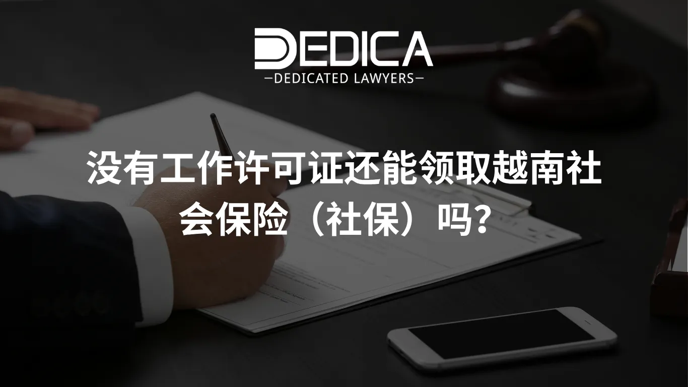 ảnh website dedica - 2026-04-07T133358.360.webp