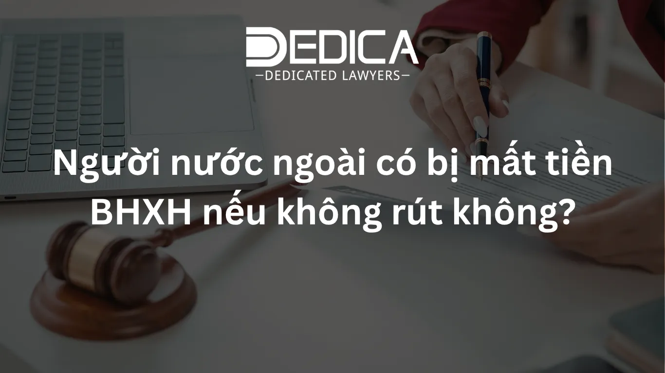 ảnh website dedica - 2026-04-07T141129.274.webp