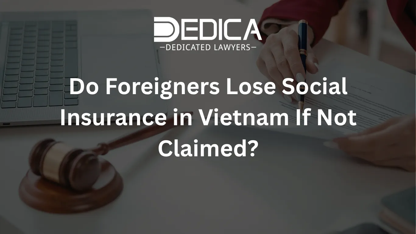 ảnh website dedica - 2026-04-07T142757.628.webp