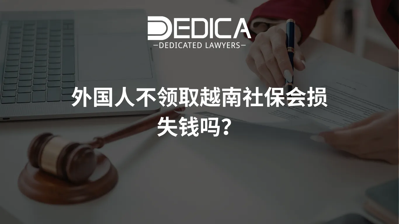 ảnh website dedica - 2026-04-07T143856.352.webp