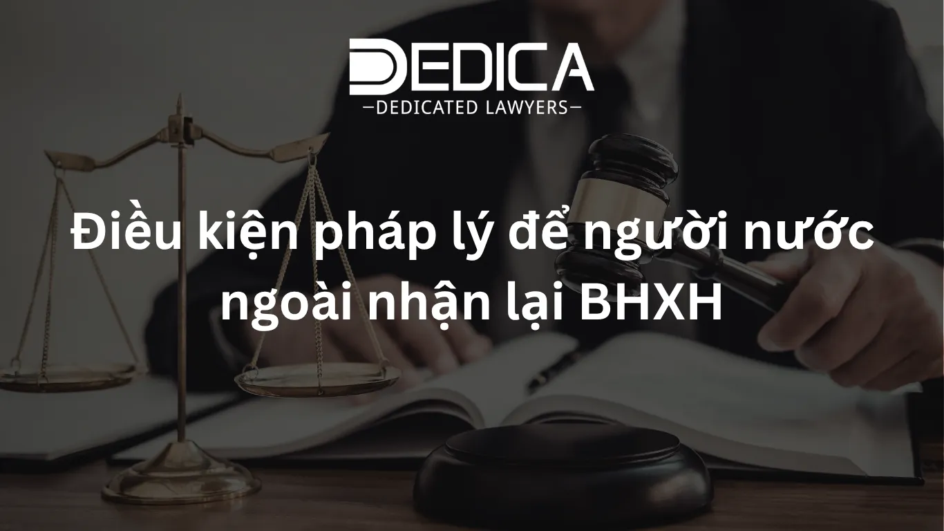 ảnh website dedica - 2026-04-07T150053.050.webp