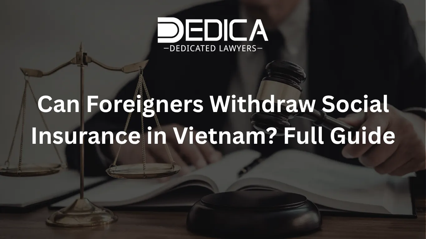 ảnh website dedica - 2026-04-07T153354.647.webp