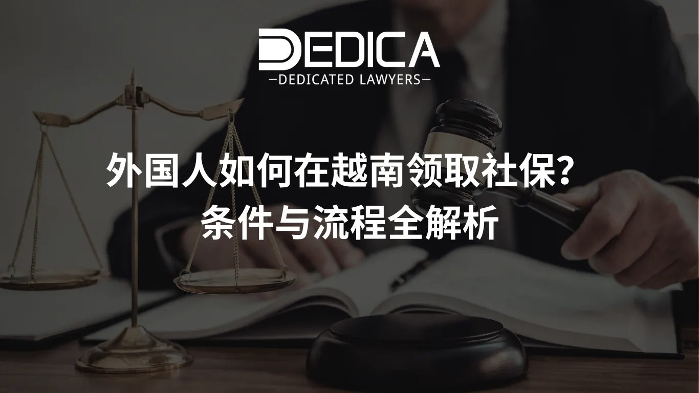 ảnh website dedica - 2026-04-07T154532.163.webp