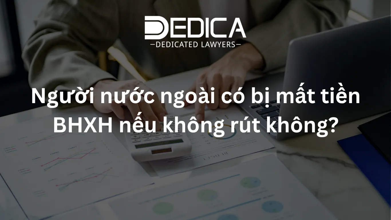 ảnh website dedica - 2026-04-08T102143.204.webp