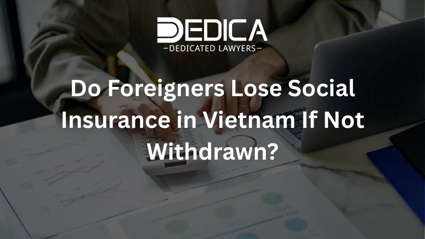 ảnh website dedica - 2026-04-08T111523.435.webp