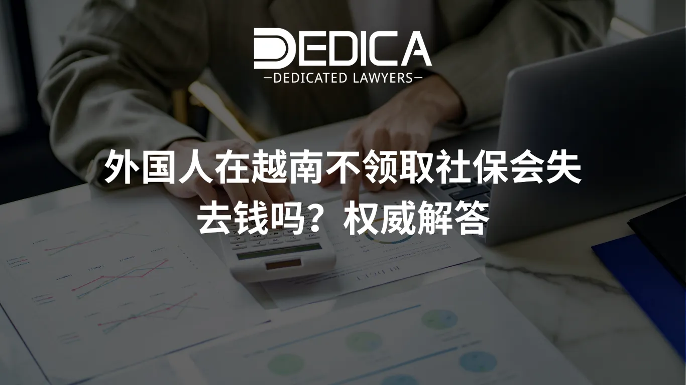 ảnh website dedica - 2026-04-08T141644.628.webp