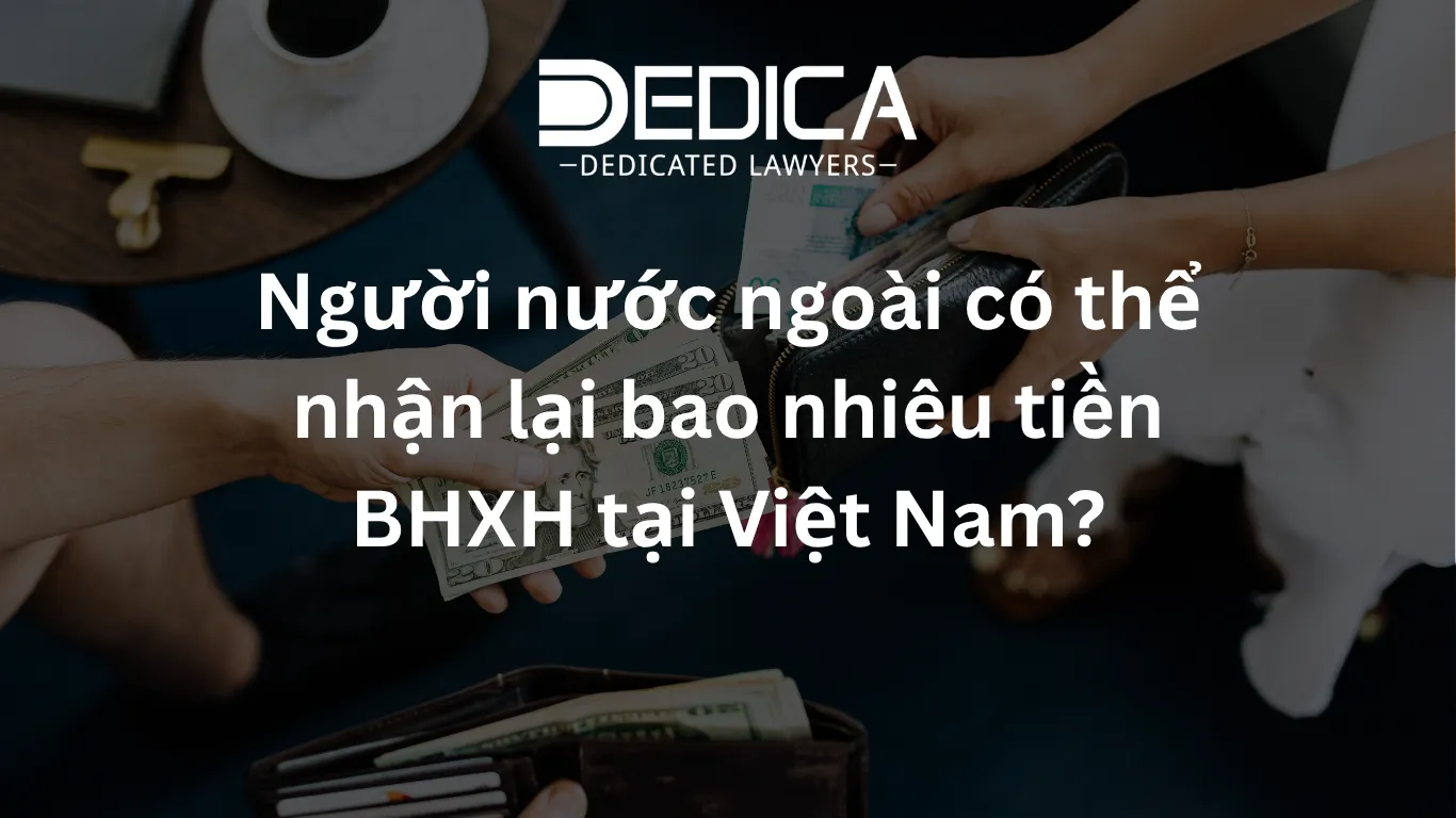 ảnh website dedica - 2026-04-08T165245.904.webp