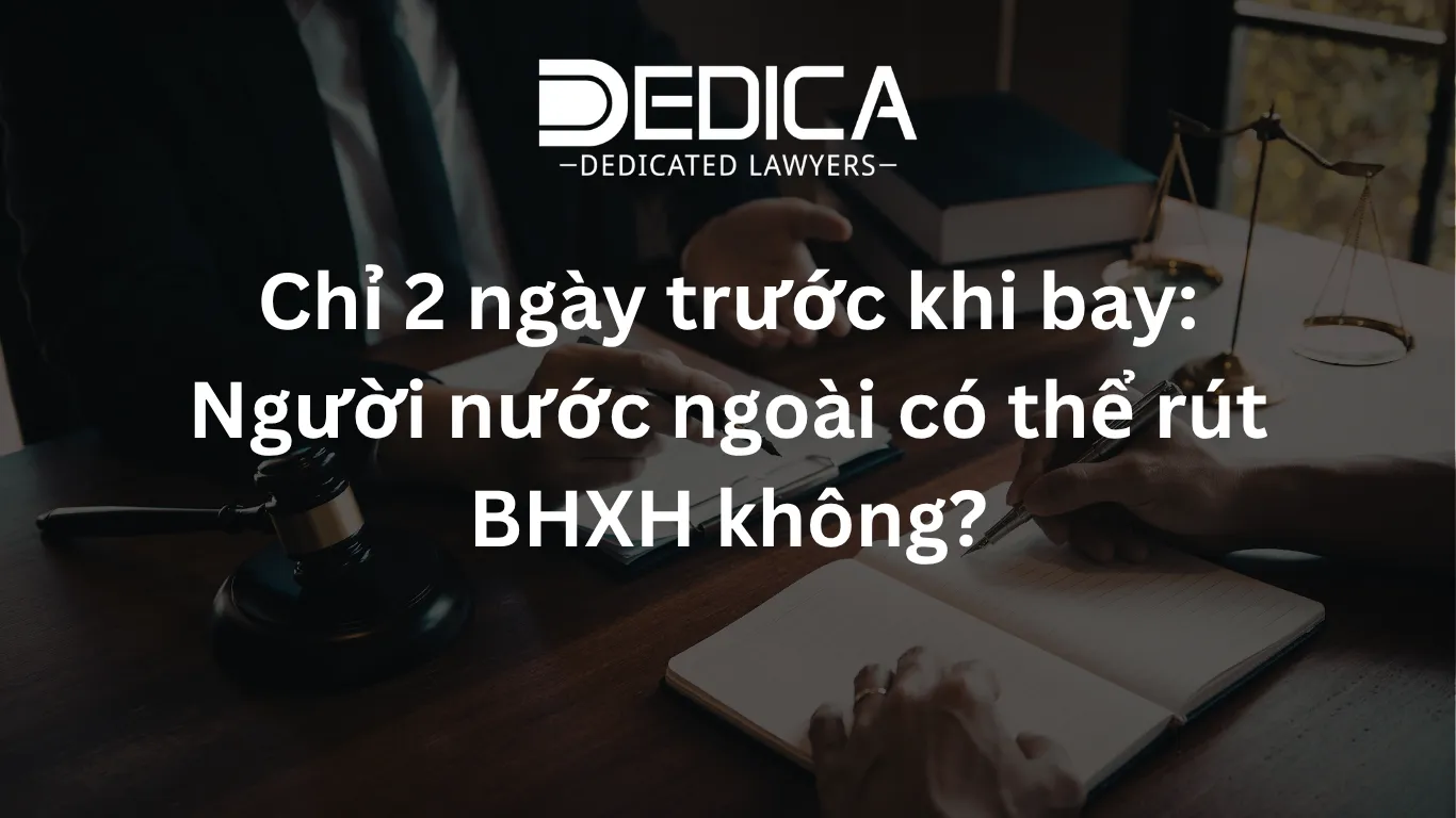 ảnh website dedica - 2026-04-08T170644.008.webp