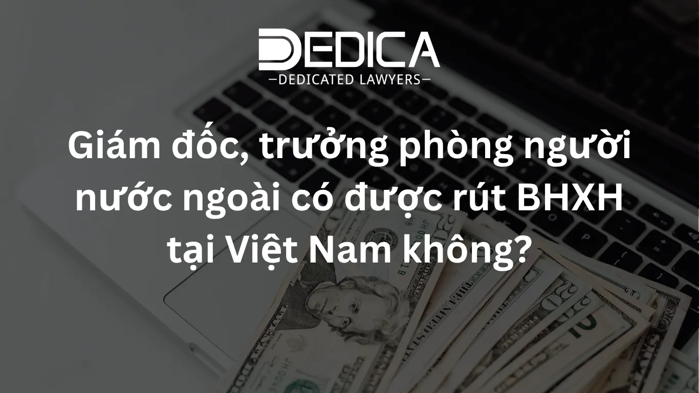 ảnh website dedica - 2026-04-09T121019.903.webp