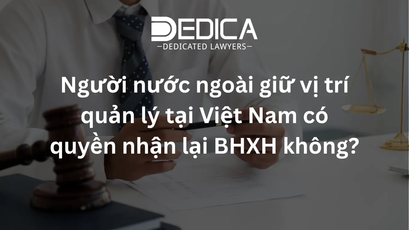 ảnh website dedica - 2026-04-09T144716.723.webp