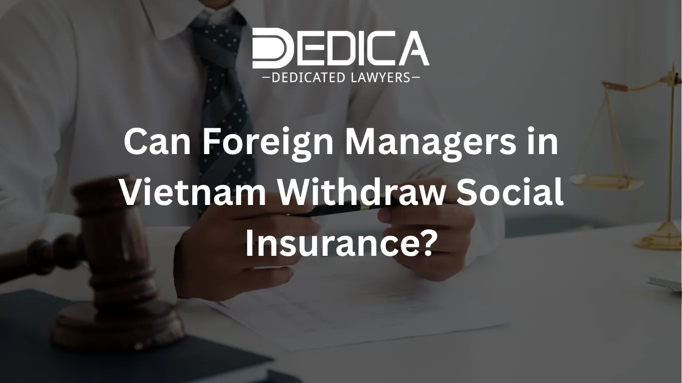 ảnh website dedica - 2026-04-09T145917.201.webp