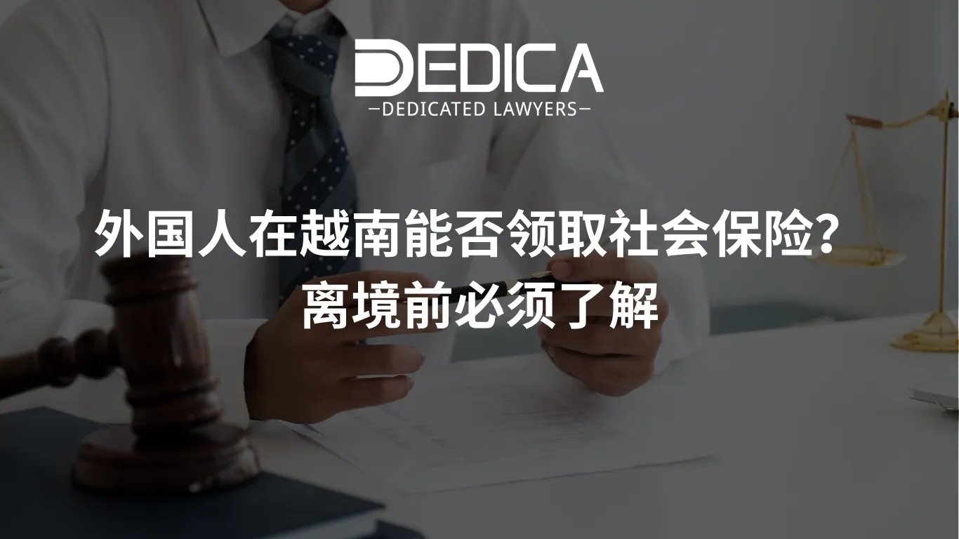 ảnh website dedica - 2026-04-09T150846.976.webp