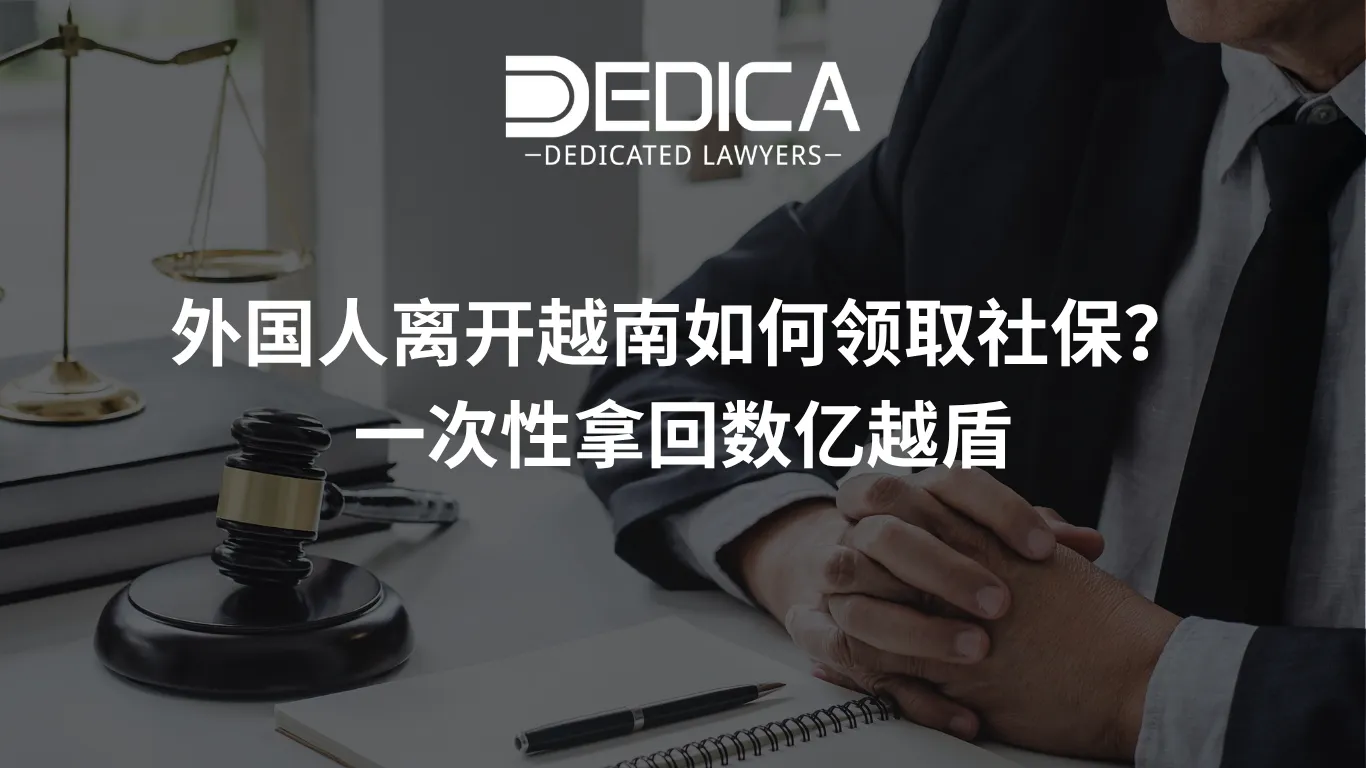 ảnh website dedica - 2026-04-09T160923.477.webp