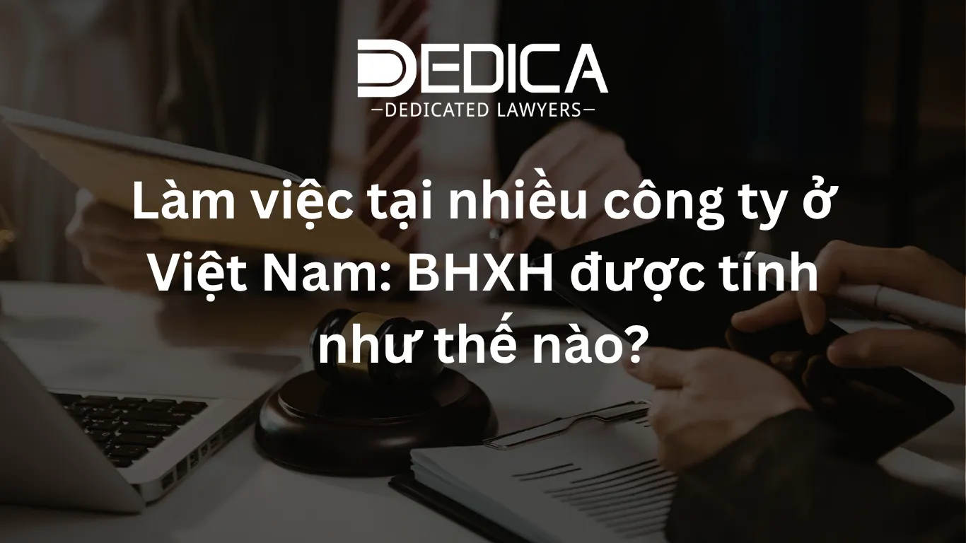 ảnh website dedica - 2026-04-10T105447.911.webp