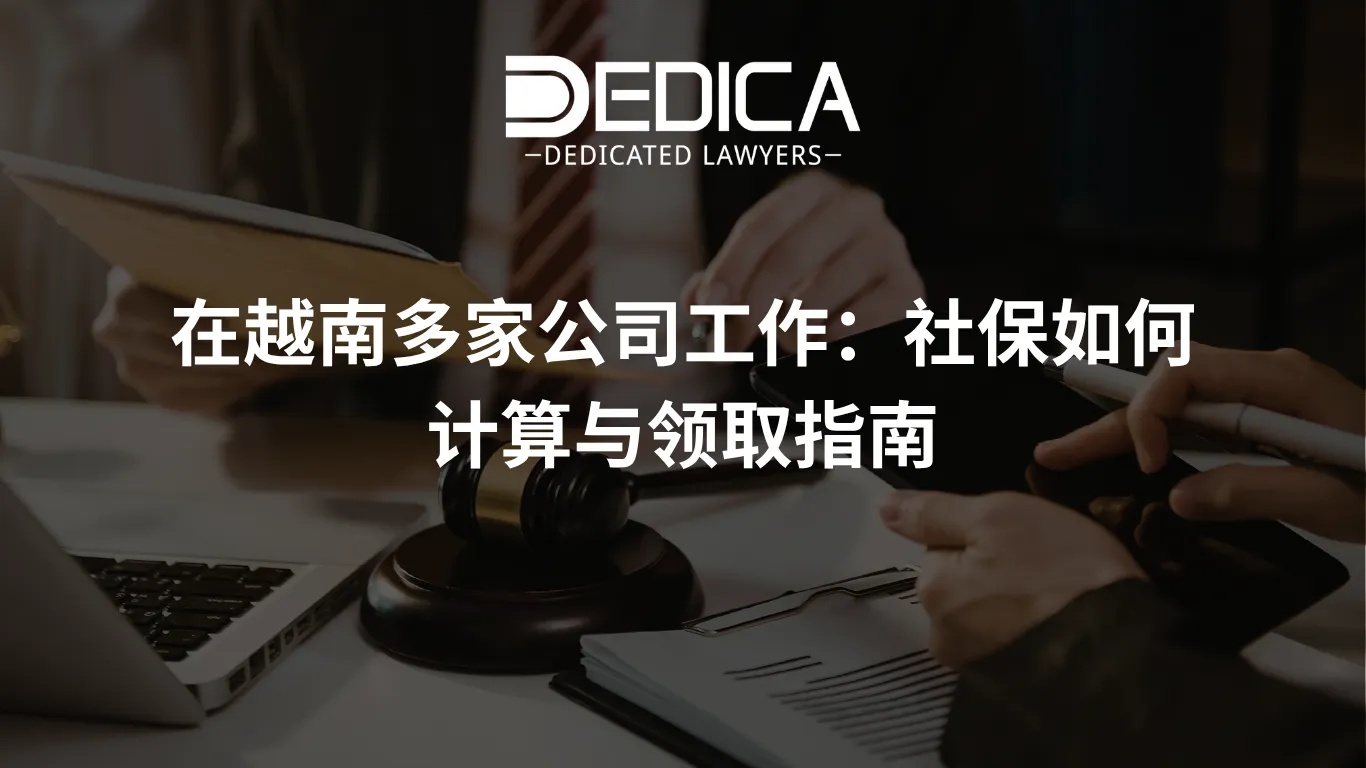 ảnh website dedica - 2026-04-10T112807.392.webp