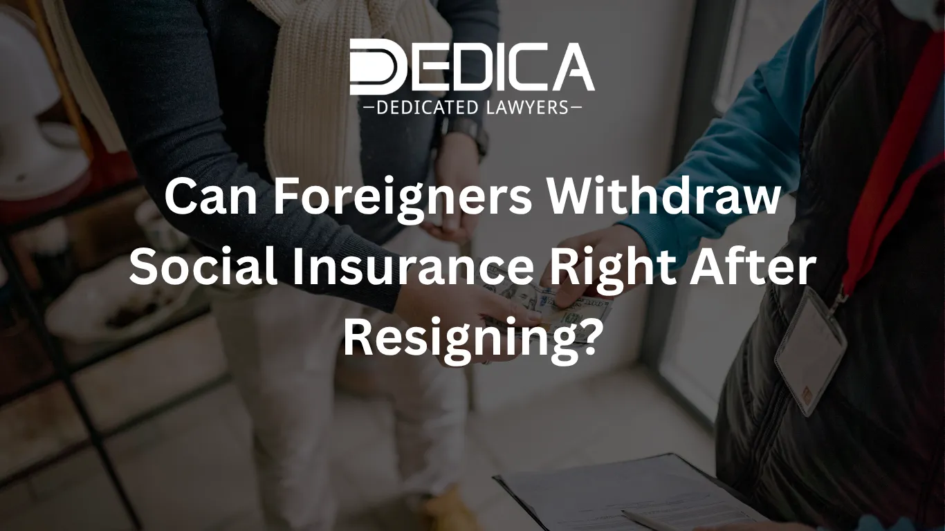 ảnh website dedica - 2026-04-10T142952.449.webp